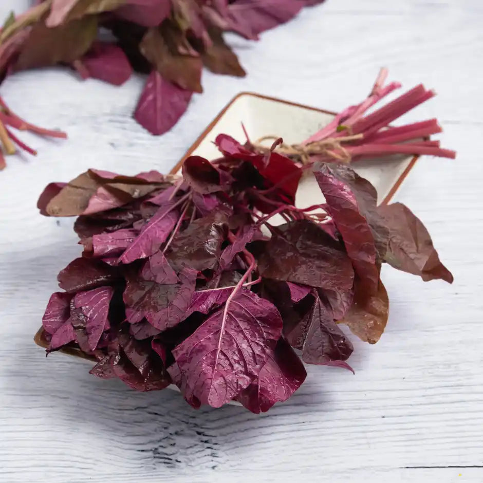 AMARANTH LEAF (LAL BHAJI) 1KG