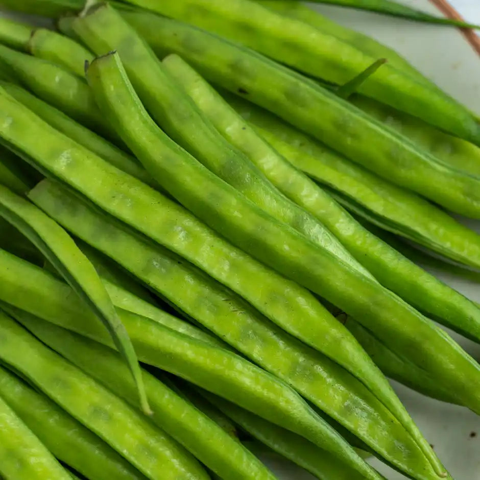 CLUSTER BEANS (GWAR PHALI) 1KG