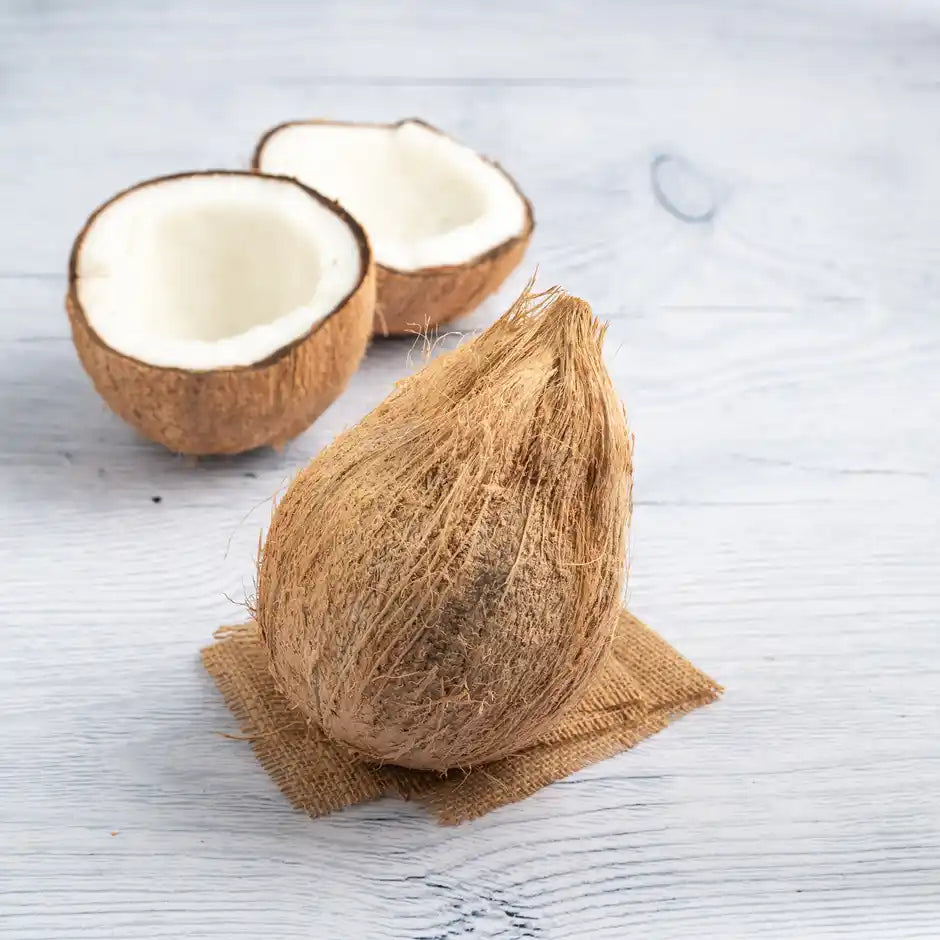 COCONUT (SHRIFAL) 1PCS
