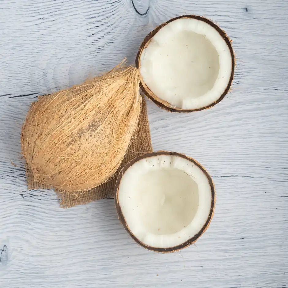 COCONUT (SHRIFAL) 1PCS