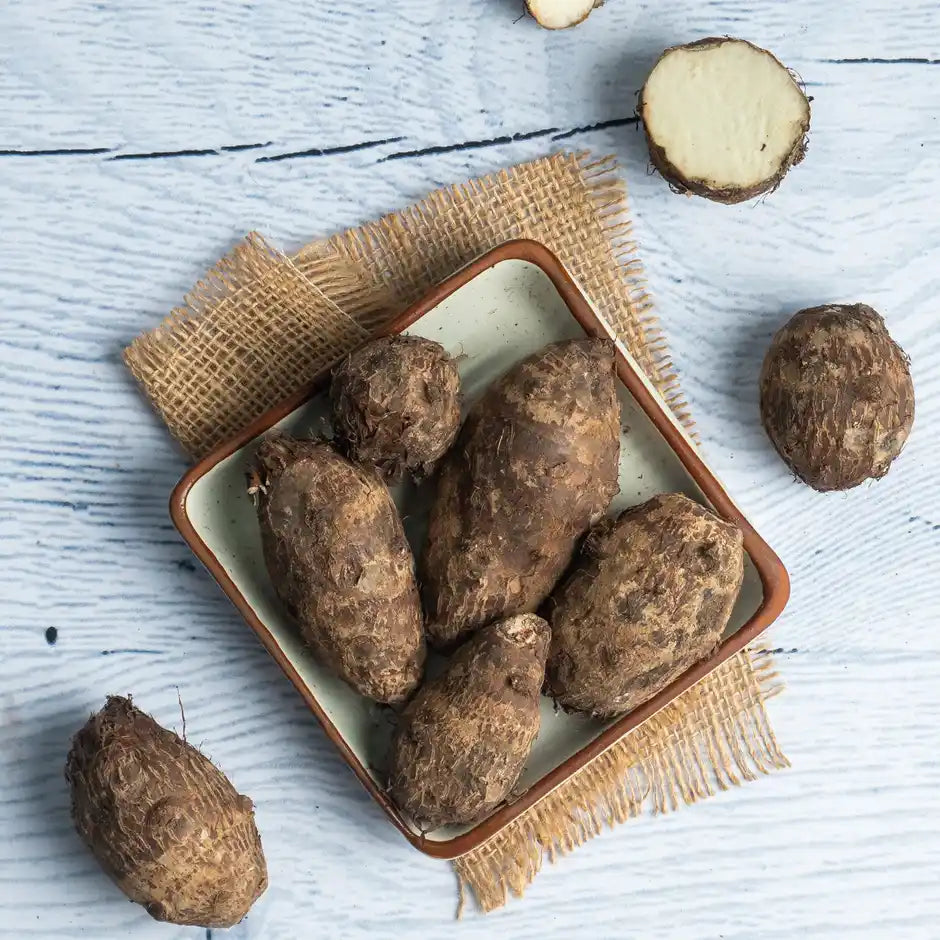 COLOCASIA (ARBI) 1KG