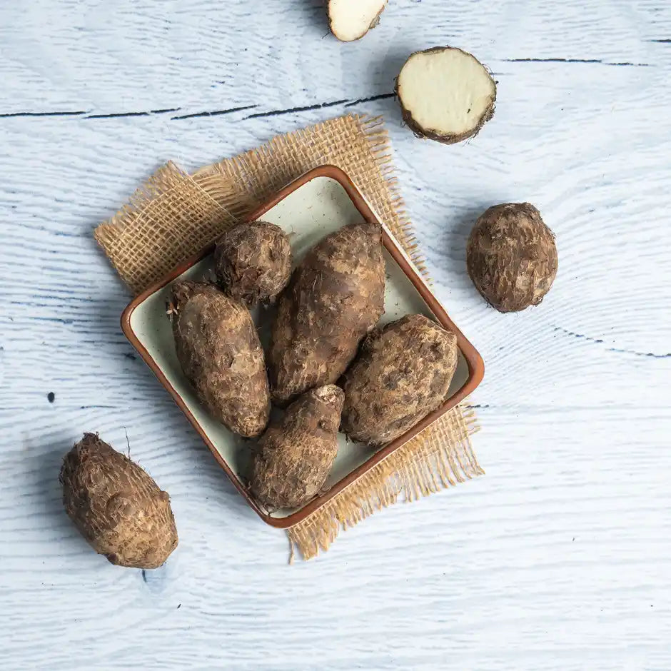 COLOCASIA (ARBI) 1KG