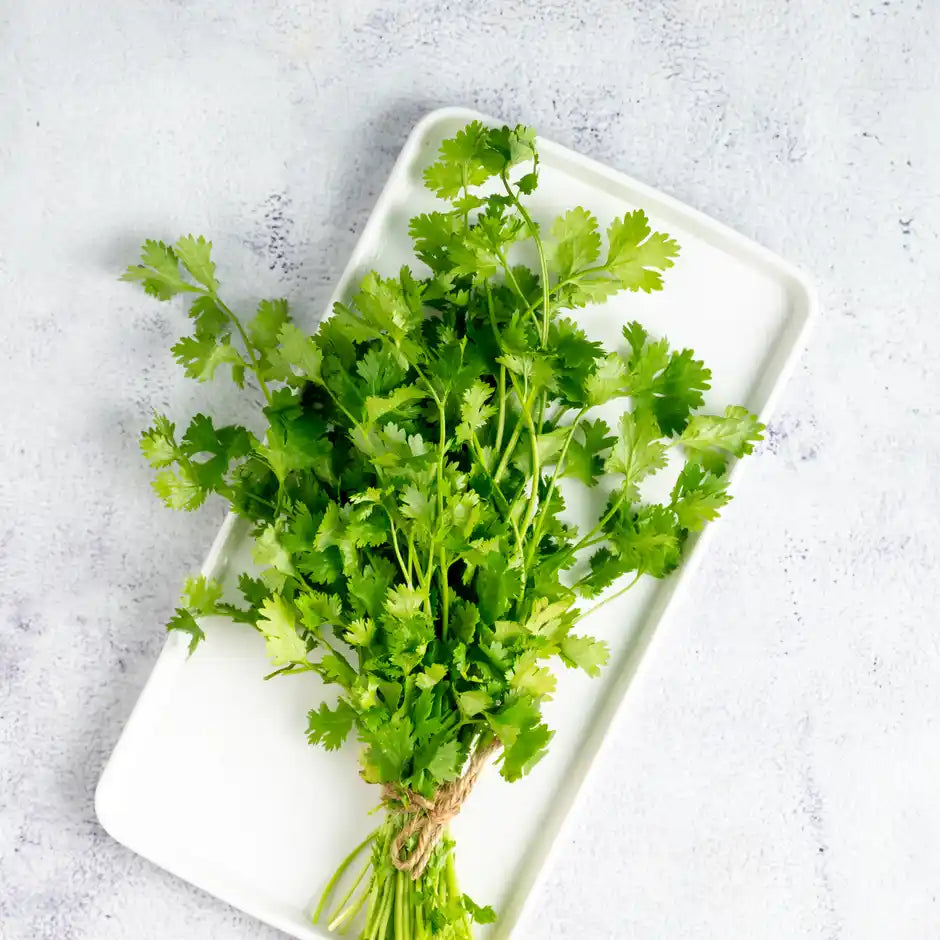 CORIANDER LEAVES (DHANIA) 1KG