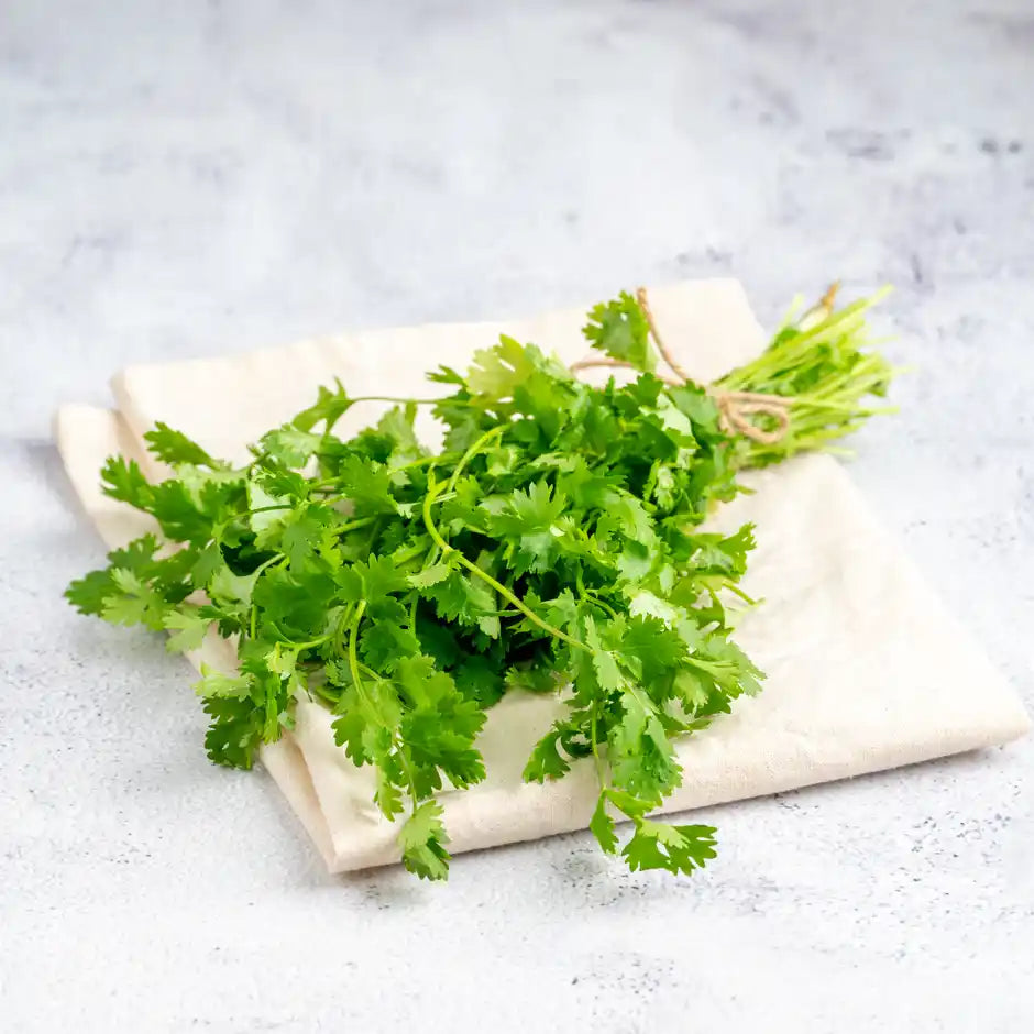 CORIANDER LEAVES (DHANIA) 1KG