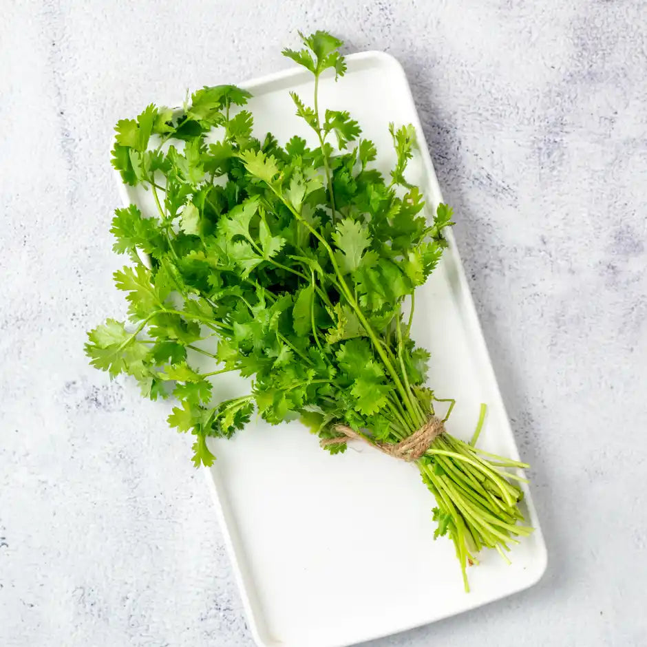 CORIANDER LEAVES (DHANIA) 1KG