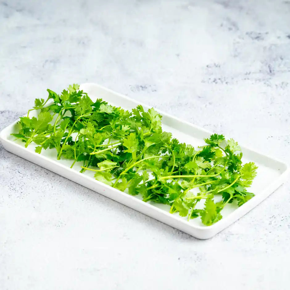 CORIANDER LEAVES (DHANIA) 1KG