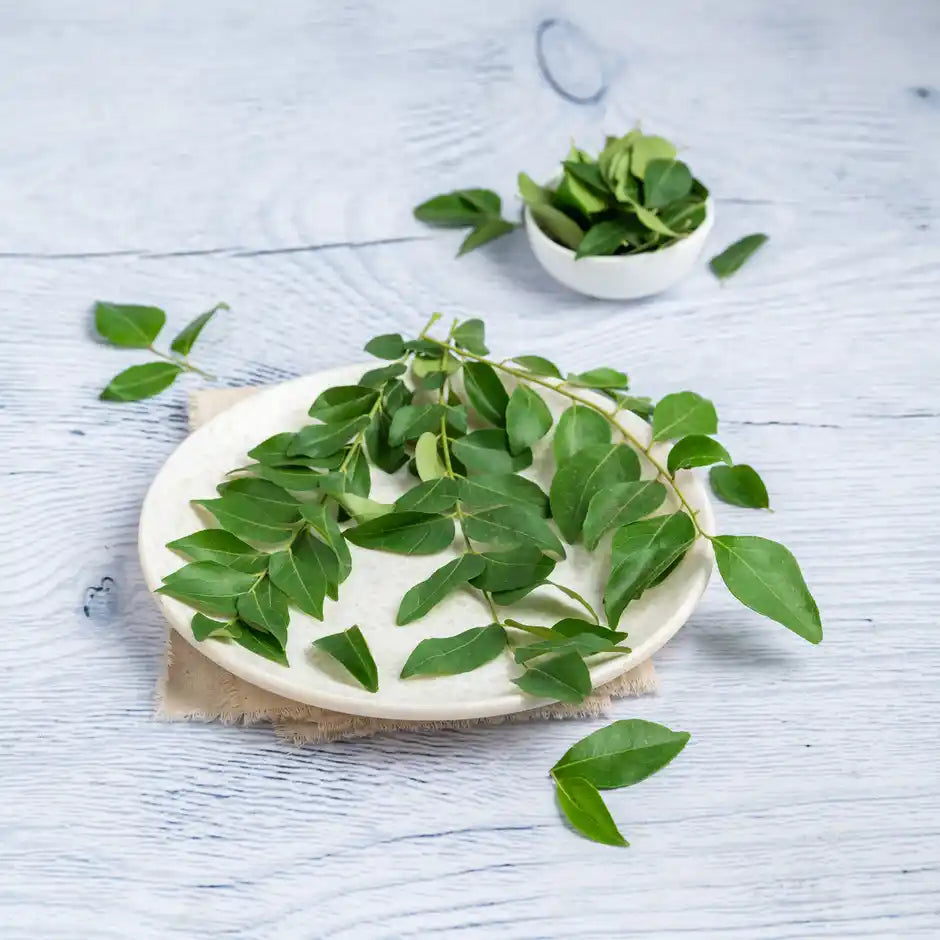 CURRY LEAVES (CURRY PATTA) 1KG