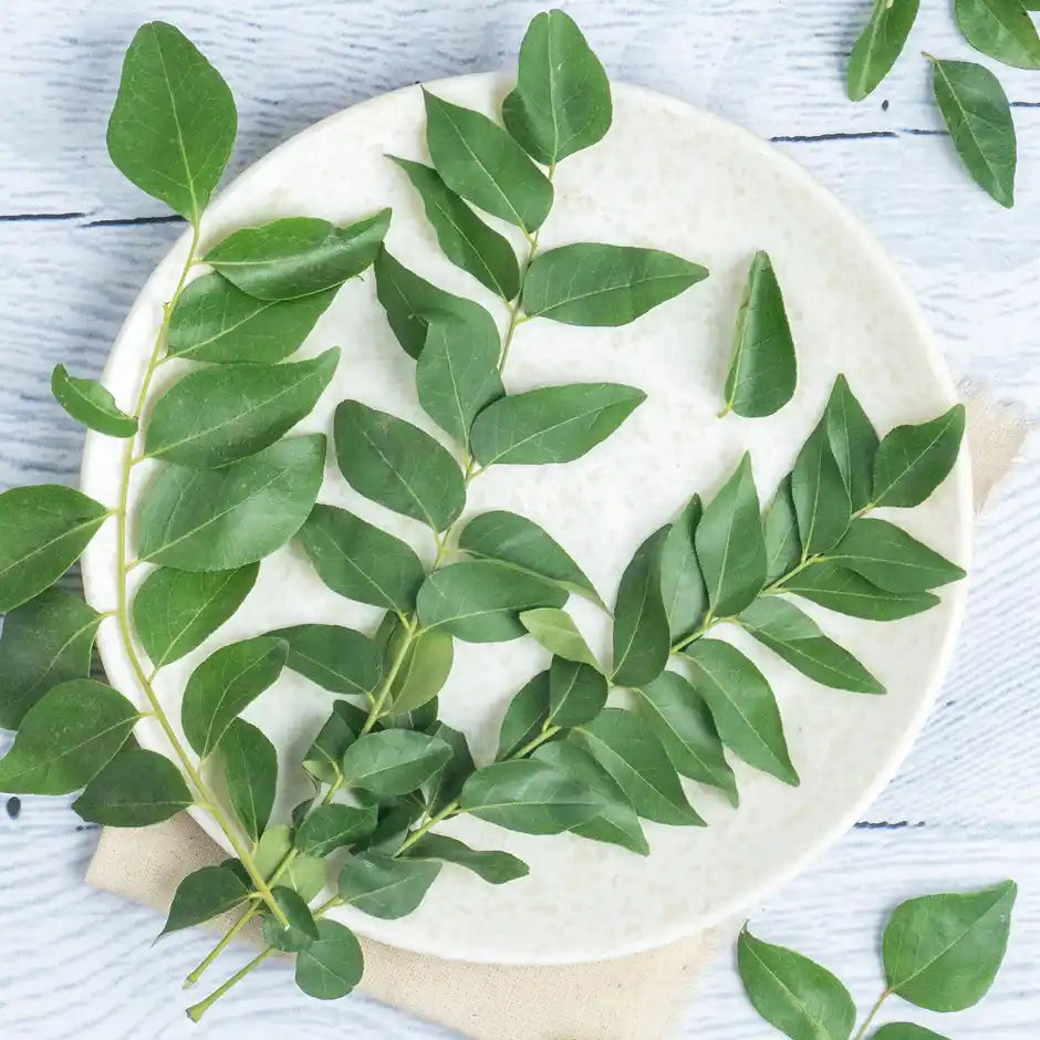 CURRY LEAVES (CURRY PATTA) 1KG