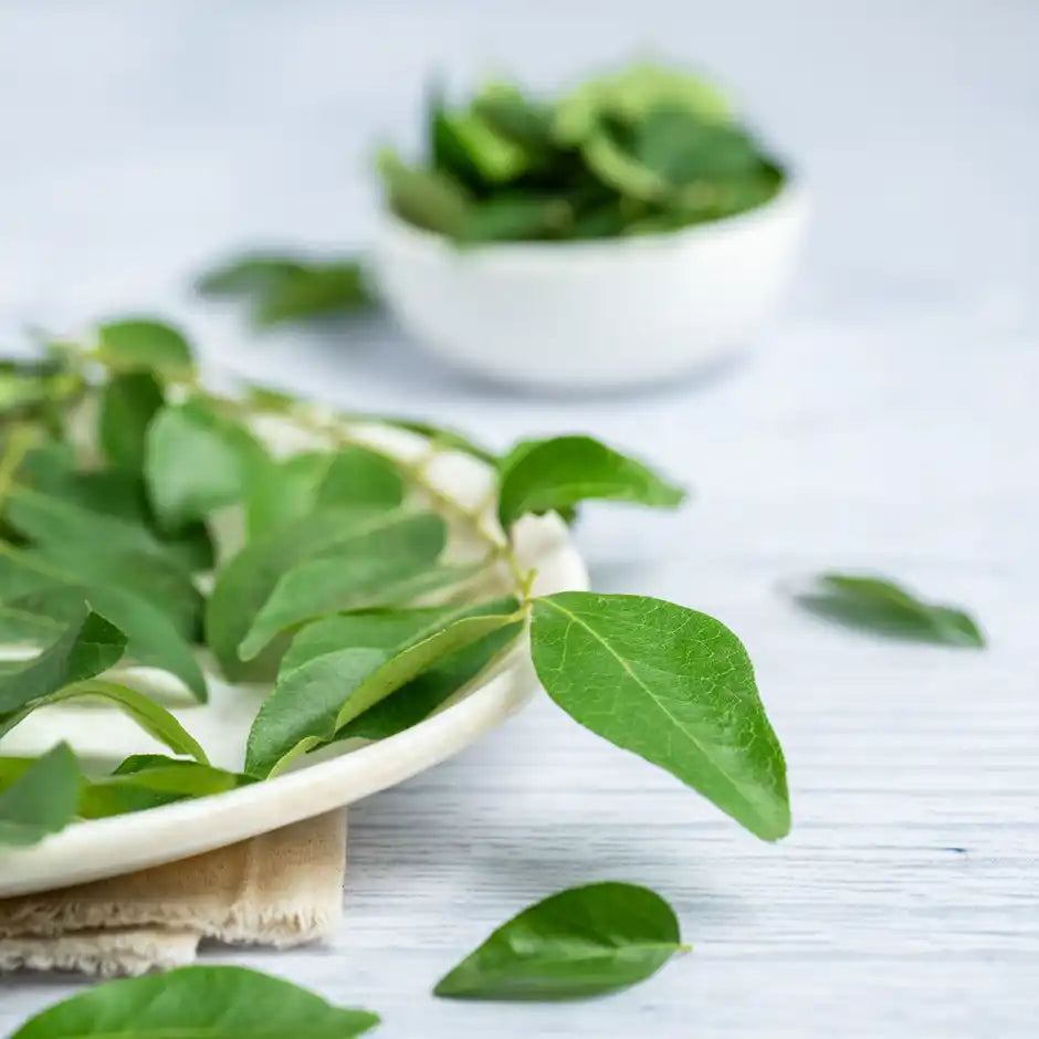 CURRY LEAVES (CURRY PATTA) 1KG