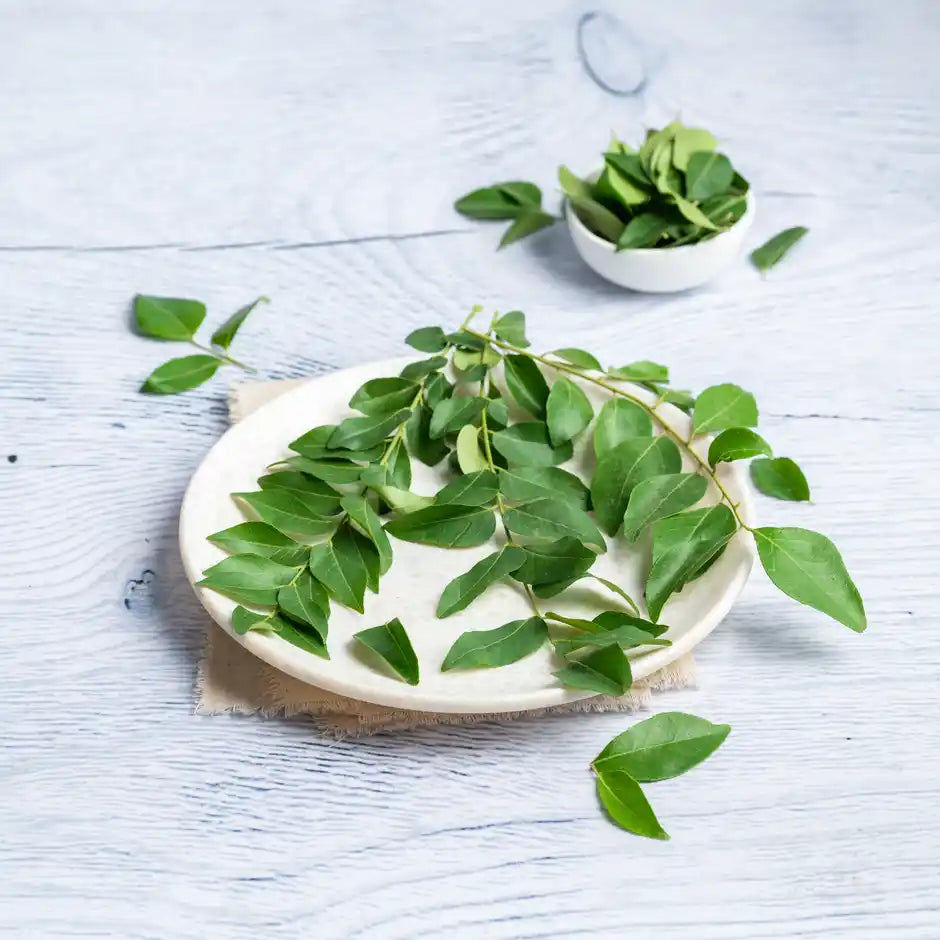 CURRY LEAVES (CURRY PATTA) 1KG