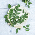 CURRY LEAVES (CURRY PATTA) 1KG