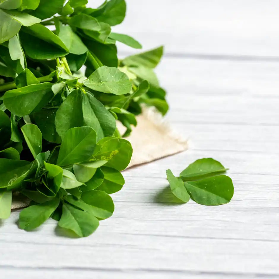 FENUGREEK LEAVES (METHI) 1KG