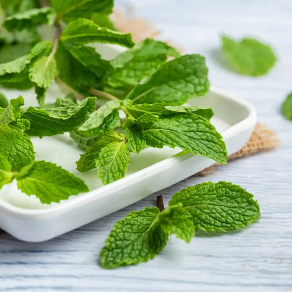 MINT LEAVES (PUDINA) 1KG