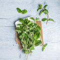 MINT LEAVES (PUDINA) 1KG