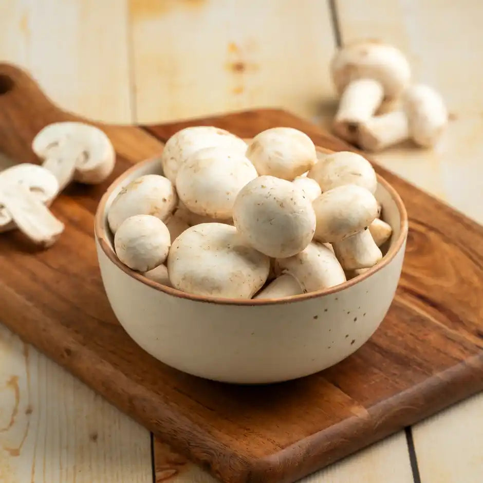 MUSHROOM (MUSHROOM) 1KG