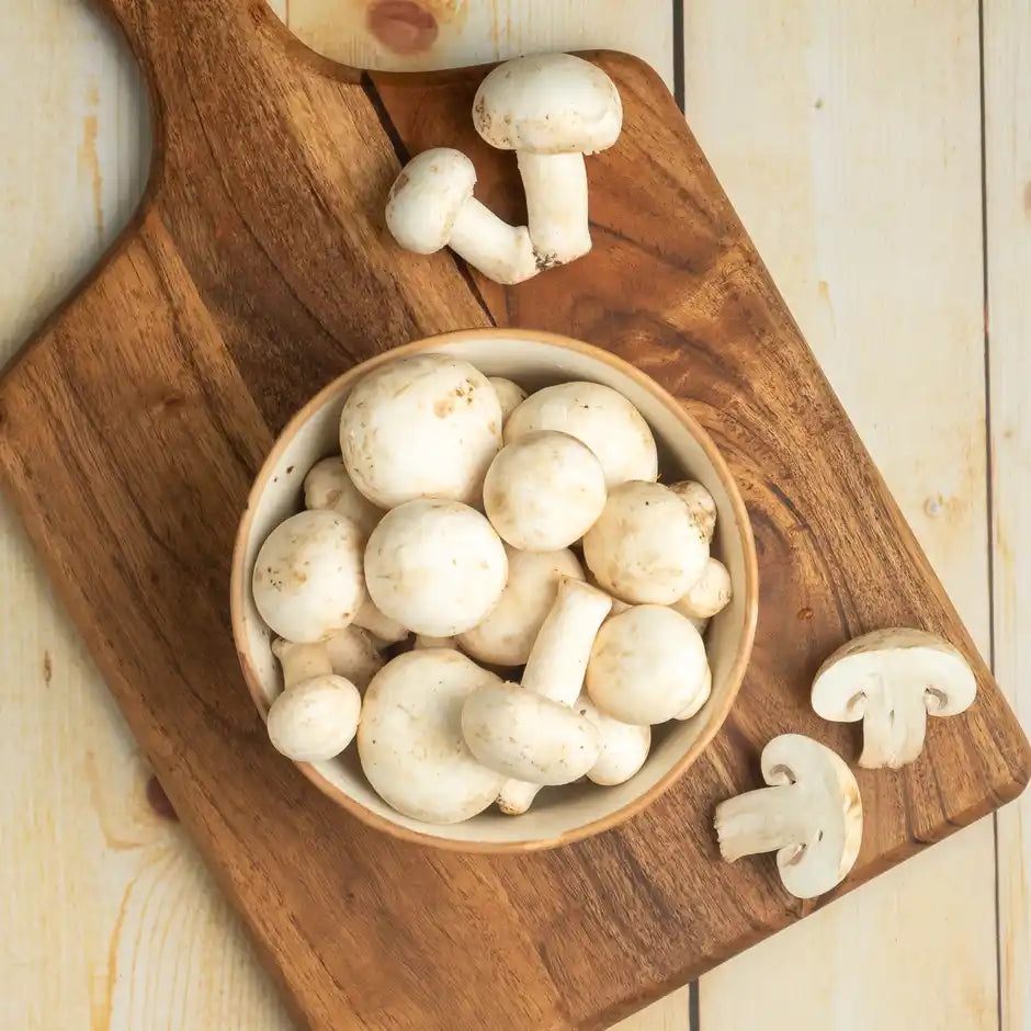 MUSHROOM (MUSHROOM) 1KG