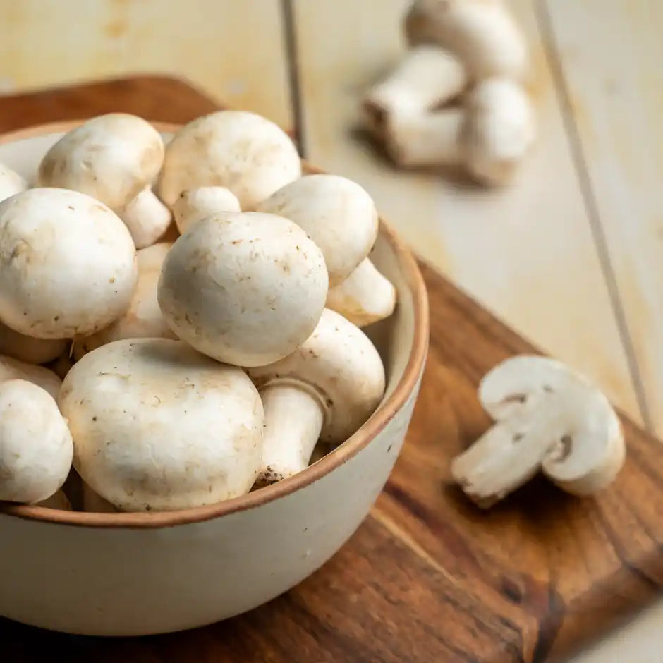 MUSHROOM (MUSHROOM) 1KG