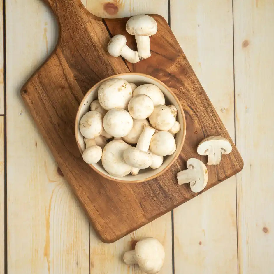 MUSHROOM (MUSHROOM) 1KG