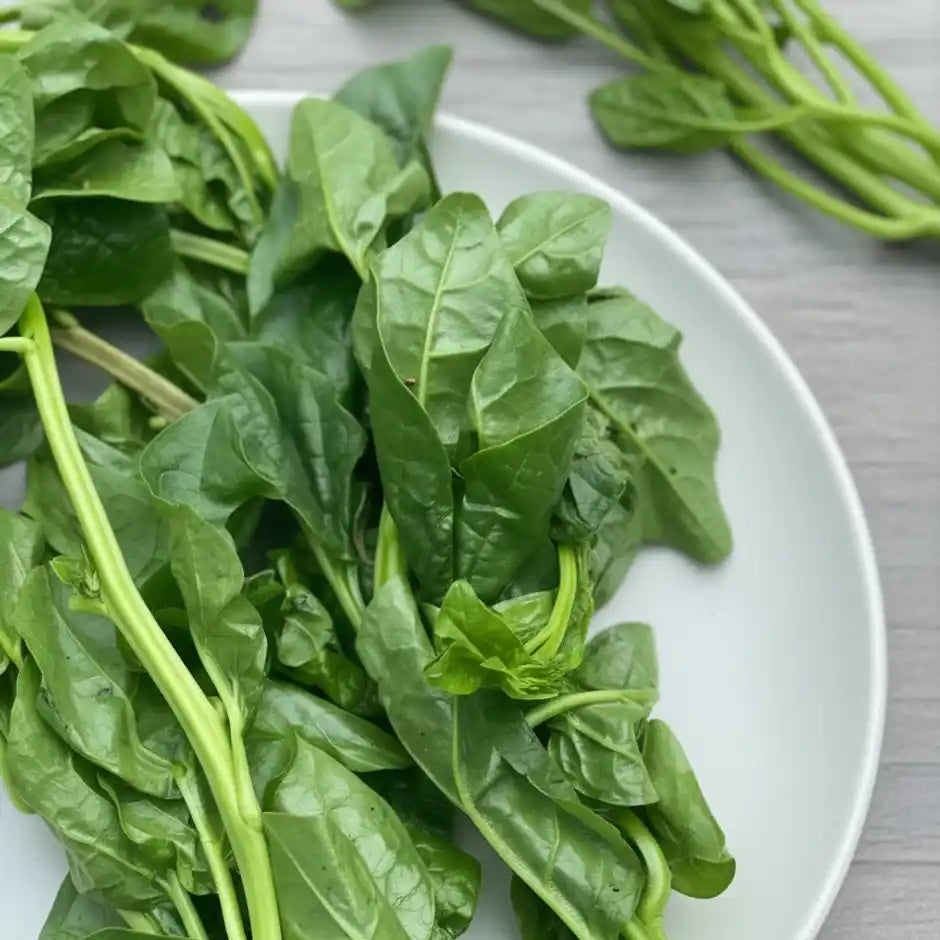 SPINACH (PALAK) 1KG