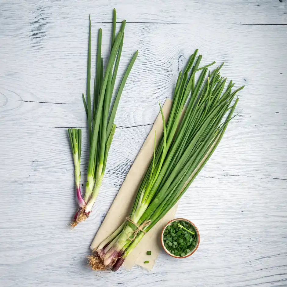 SPRING ONION (HARI PYAAZ) 1KG