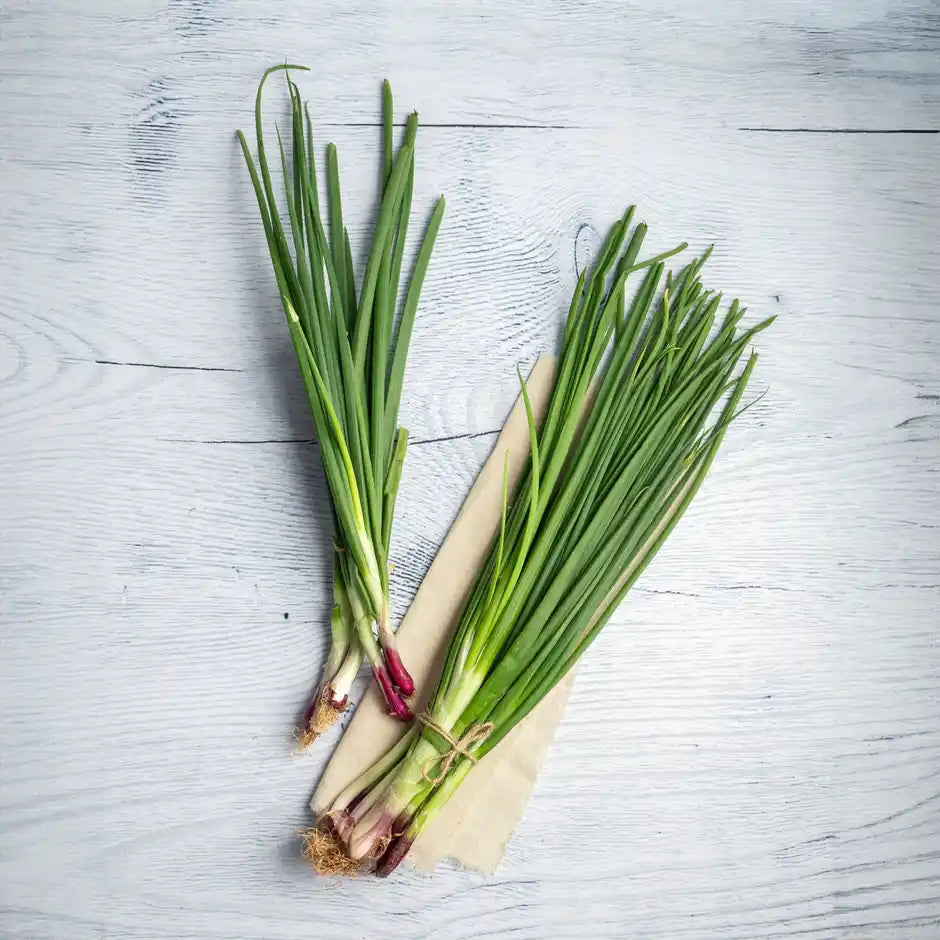 SPRING ONION (HARI PYAAZ) 1KG