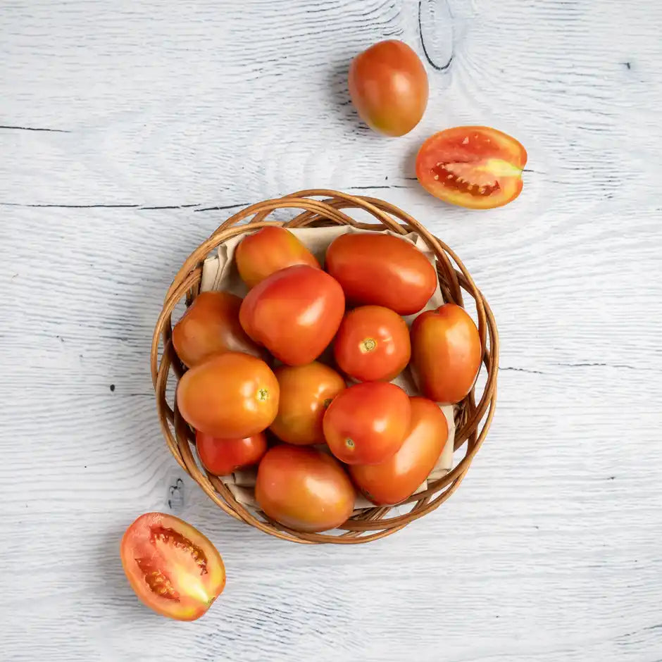 HYBRID TOMATO (HYBRID TAMATAR) 1KG